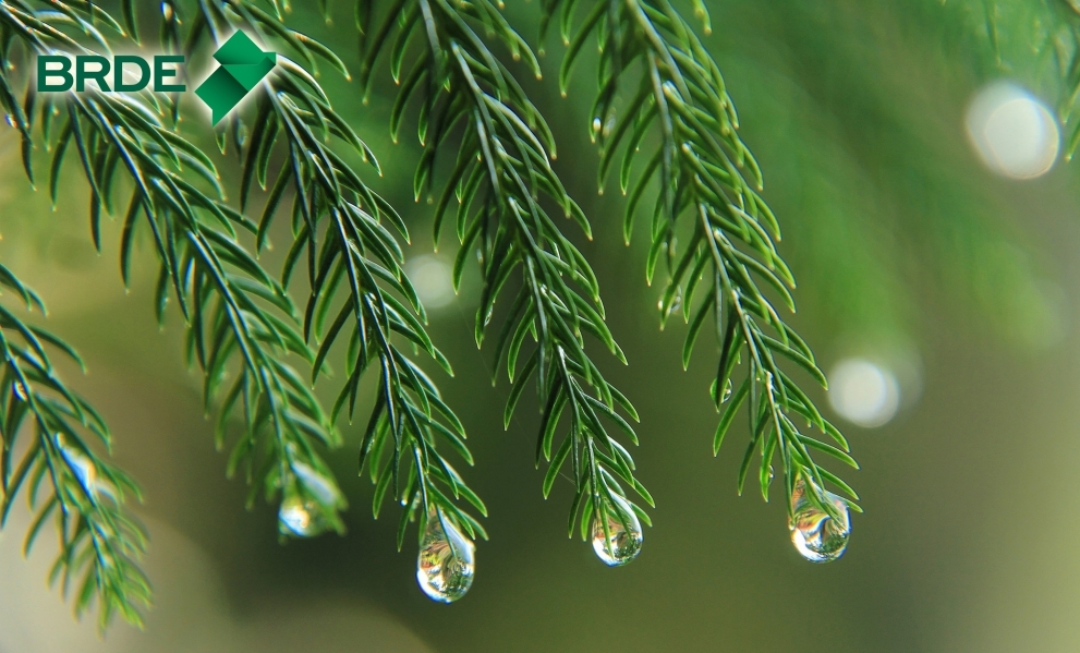 Objetivo dos projetos é eficiência energética, sustentabilidade e responsabilidade ambiental - Pixabay