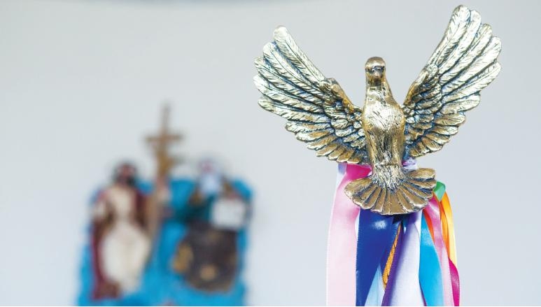 Festa do Divino: pomba representa o Espírito Santo - Flávio Tin/Arquivo/ND