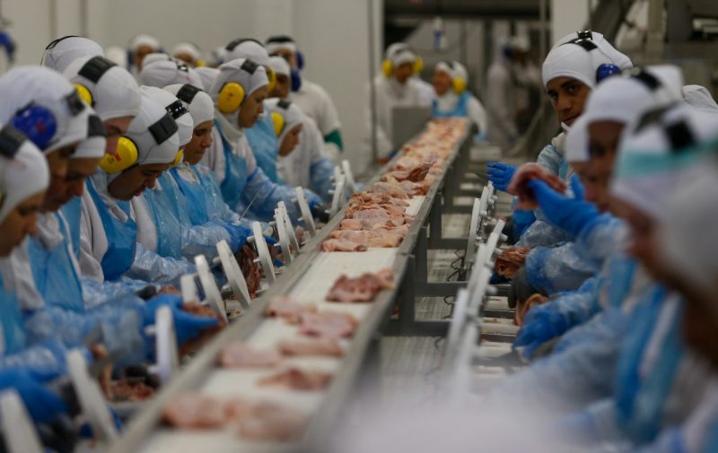 O investimento será alocado na modernização de linhas para ampliar a produção e na construção de uma nova unidade produtiva. – Foto: Pedro Ladeira/Folhapress