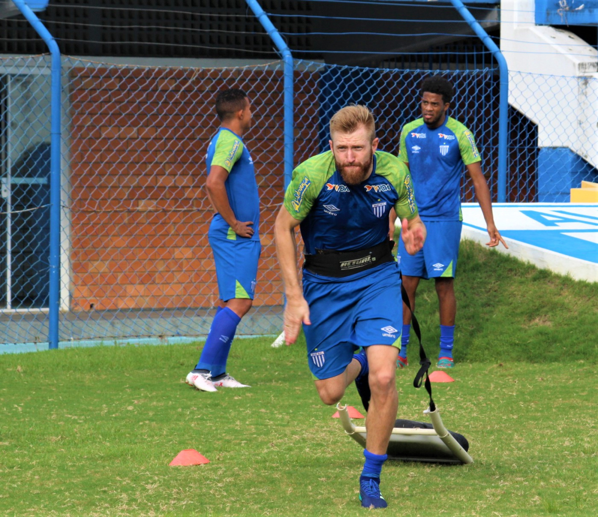 Avaí deve anunciar mais reforços nos próximos dias