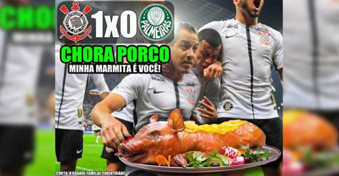 zoeira com palmeiras