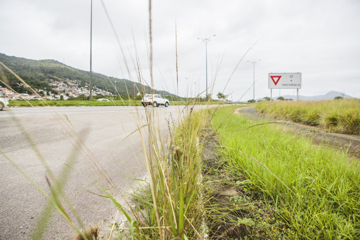 Detentos do Sistema Prisional começam a fazer limpeza pública em Florianópolis