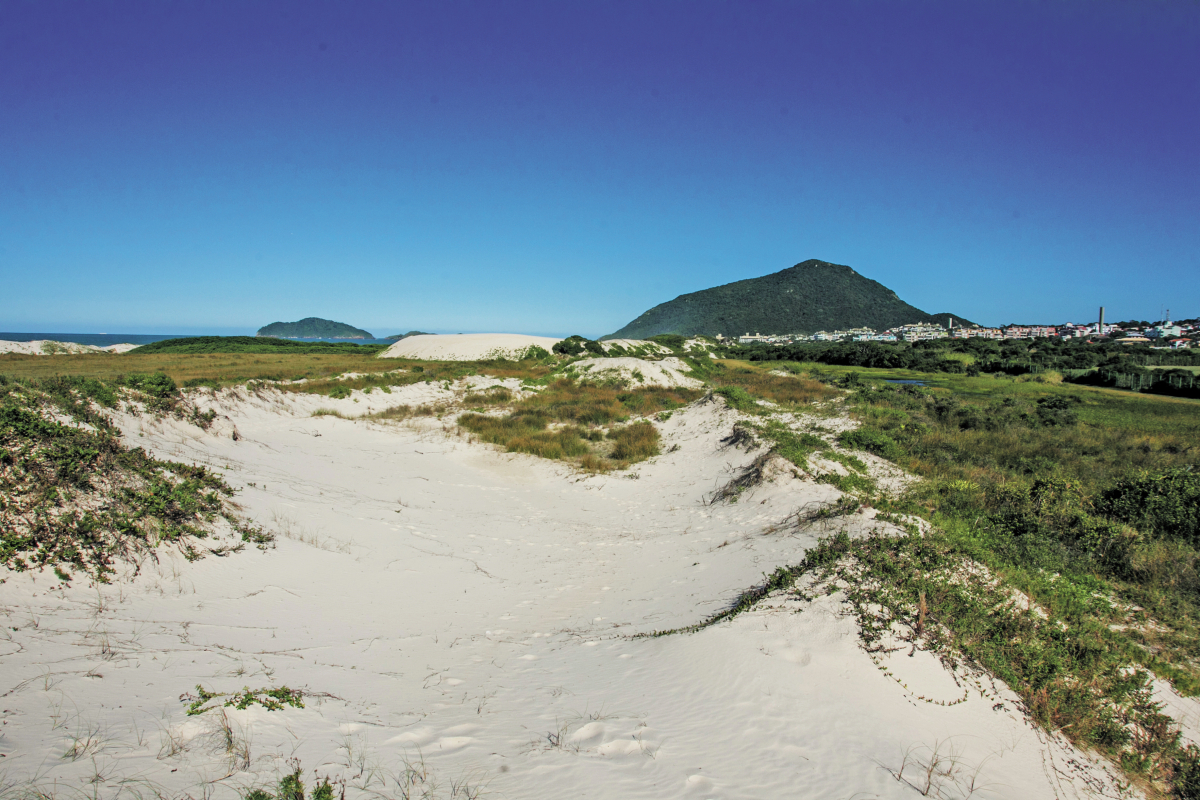 Parque Natural Municipal Lagoa do Jacar&eacute; das Dunas do Santinho - Marco Santiago/ND