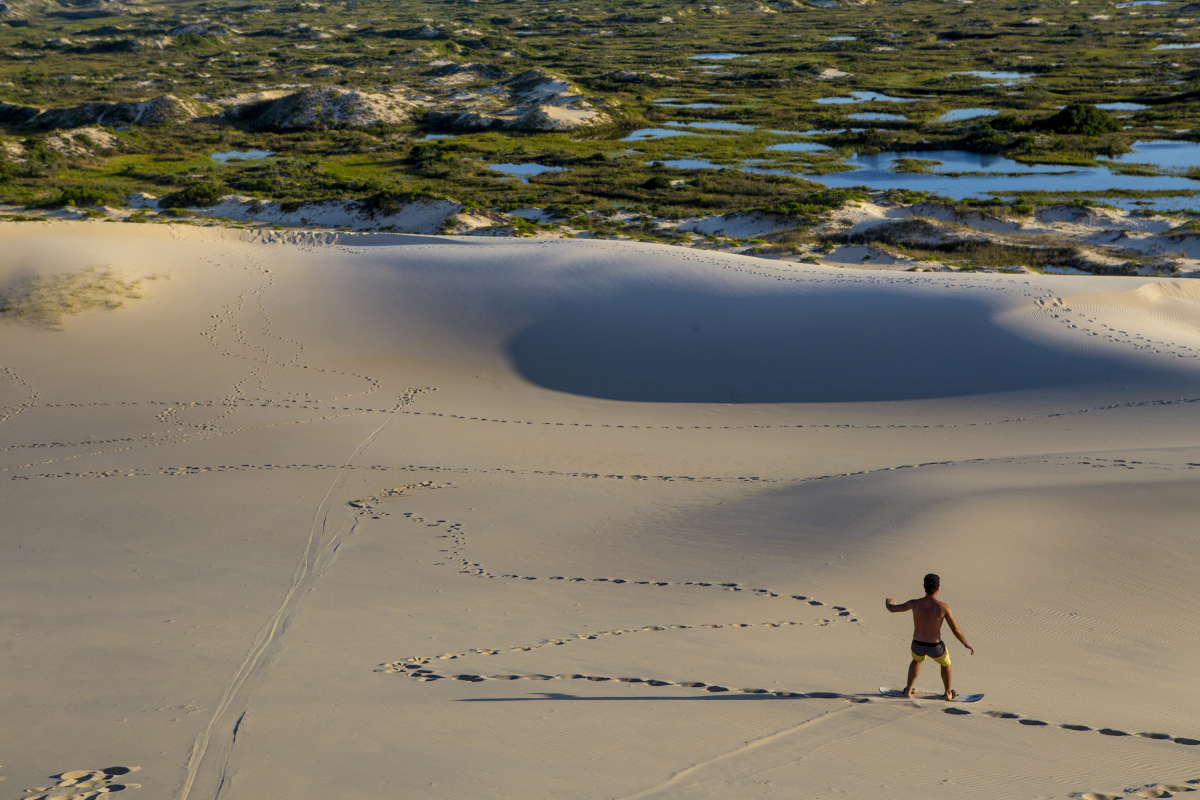 Unidades de conservação de Florianópolis ajudam na preservação do ecossistema da região