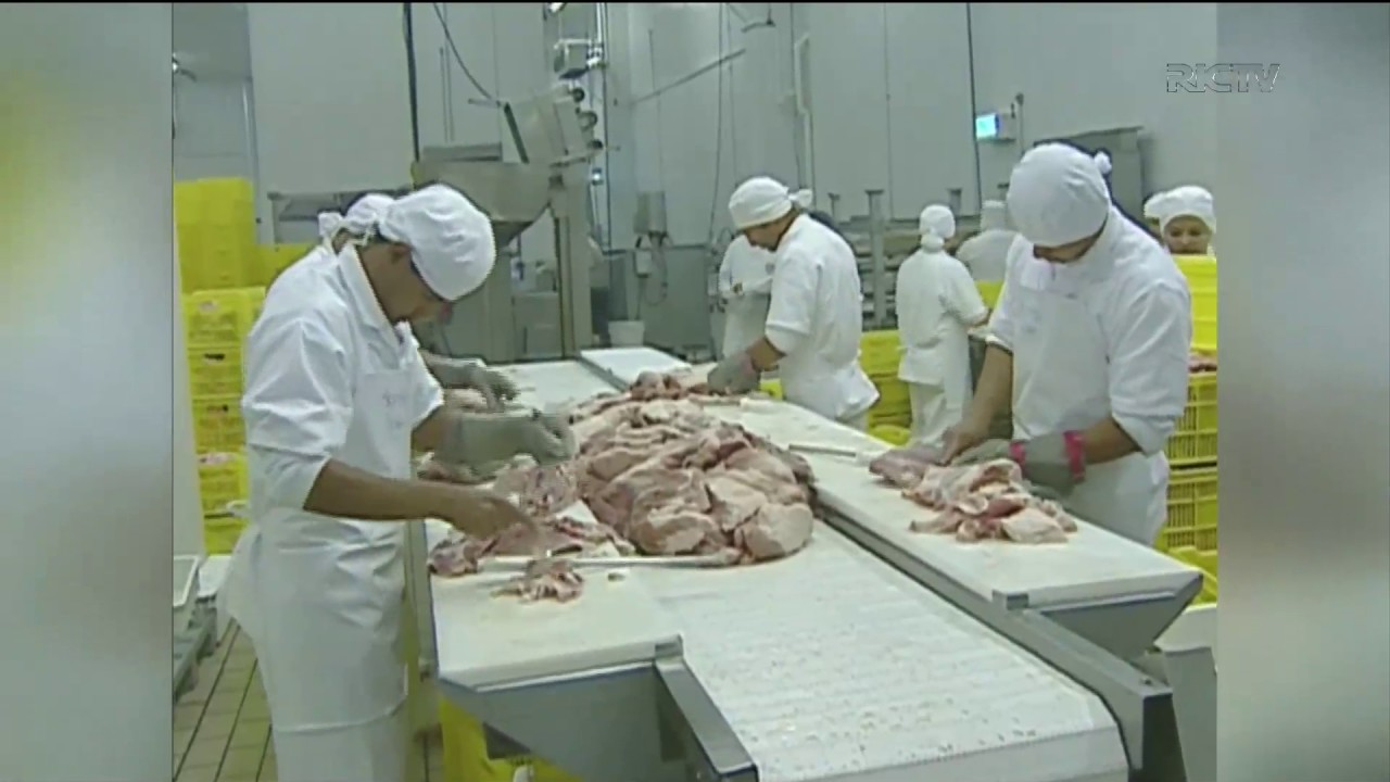 Distribuição de produtos frigorificados pode perder incentivo fiscal – Reprodução/RICTV Record TV