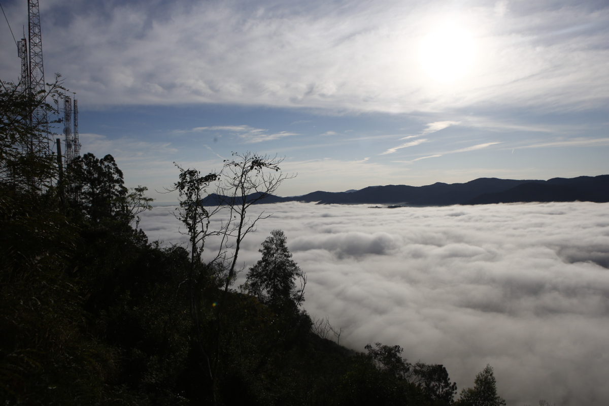 Terça-feira amanhece com mínima de 6°C e nevoeiros em SC; veja a previsão do tempo