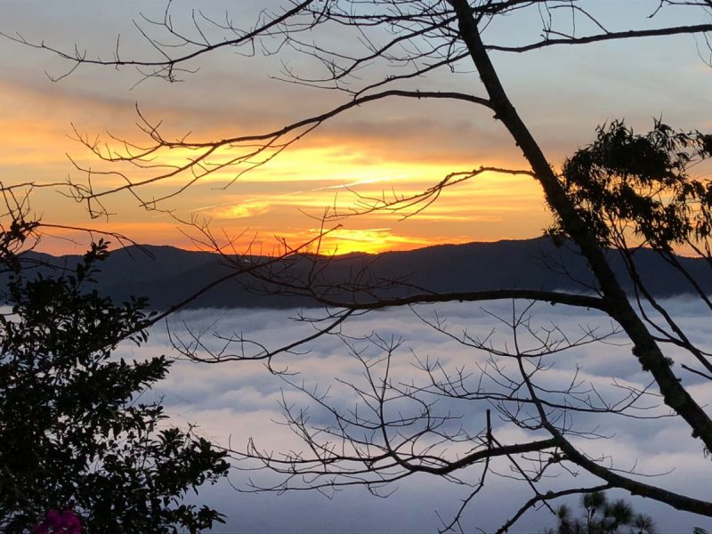 Apesar dos nevoeiros no começo do dia, resto da semana será quente em SC – Foto: Viviane de Gênova/ND