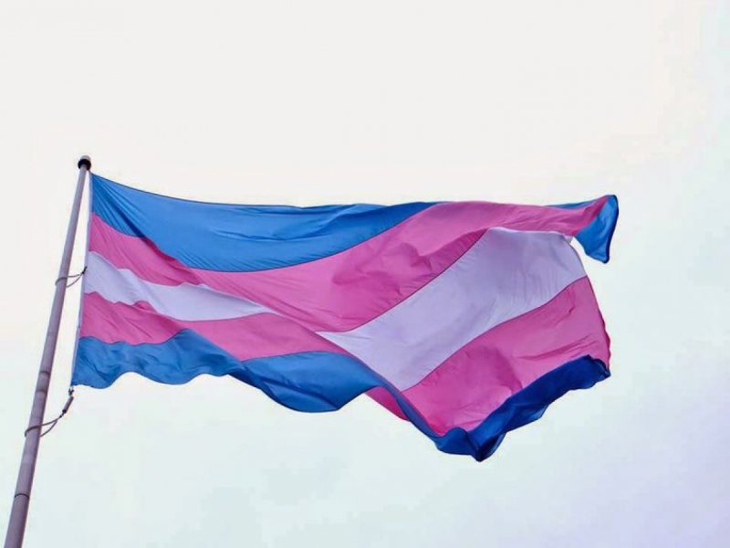 Bandeira de pessoas trans