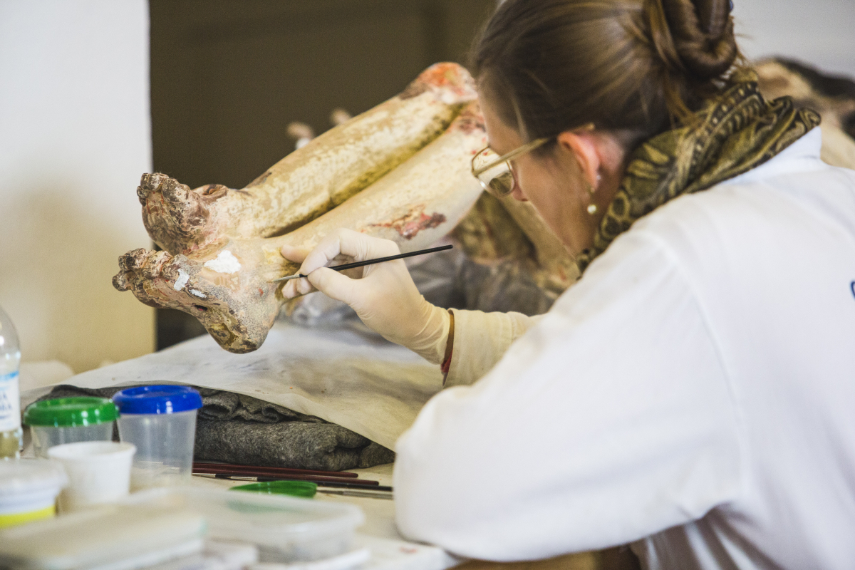 Trabalho nas 45 imagens est&aacute; sendo feito por 26 restauradores - Daniel Queiroz/ND