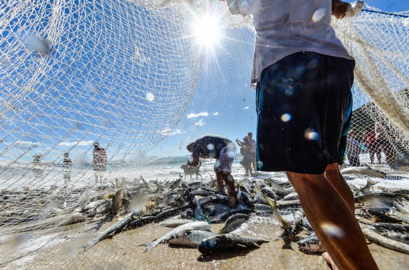 A tradição da pesca da tainha registrada na praia da Lagoinha do Norte &#8211; Foto: Joyce Reinert/ND
