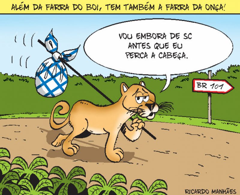 Além da Farra do Boi, tem também a Farra da Onça