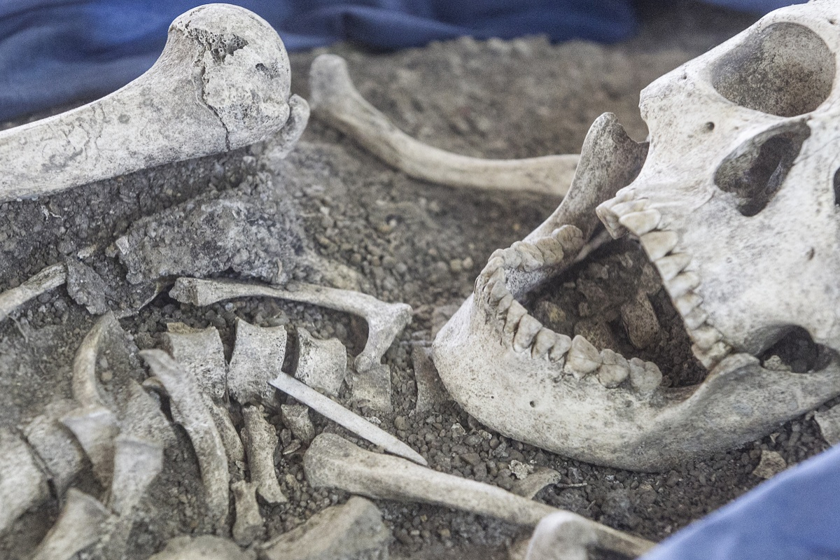 Homens do Sambaqui, como são chamados, iniciaram a jornada nestas terras há cerca de 8.500 anos - Marco Santiago/ND