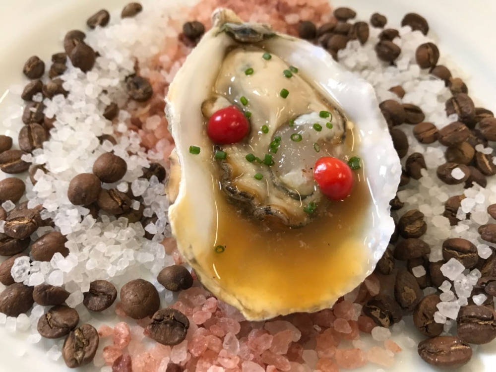 Concurso gastronômico da Fenaostra começa hoje - Divulgação/ND
