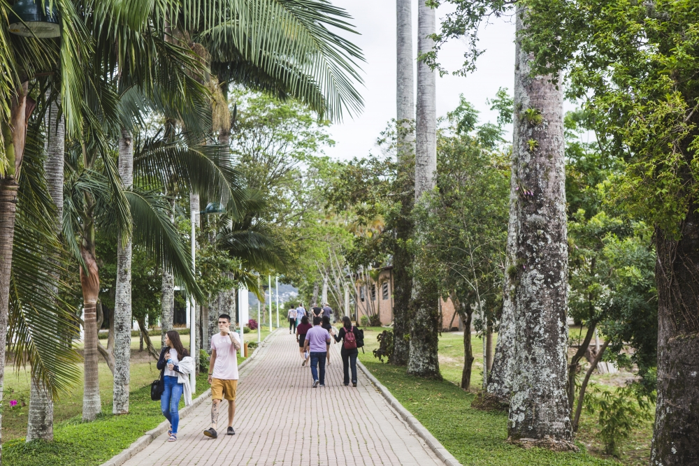 Jardim Botânico de Florianópolis celebra aniversário neste domingo com exposição ND Mais