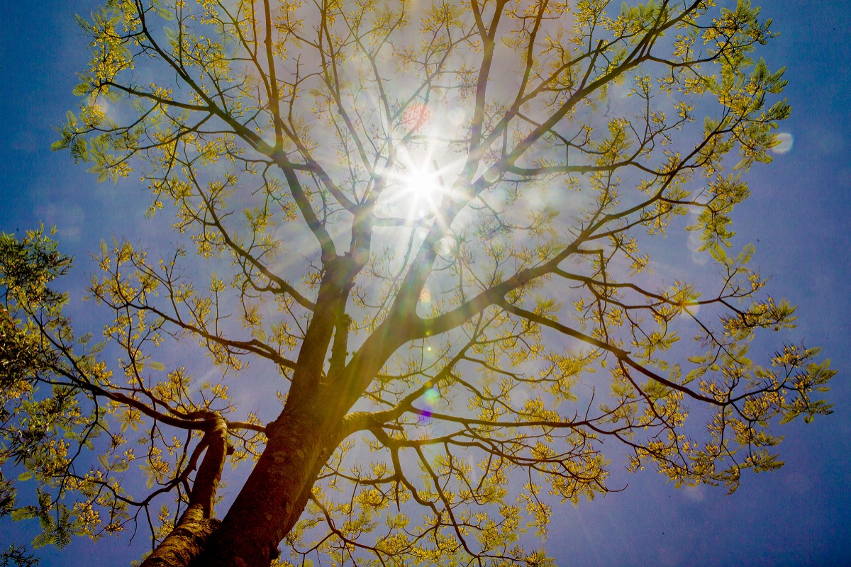 Setembro Amarelo e a prevenção do suicídio: é possível recomeçar
