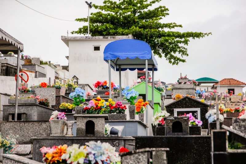 Há cuidados para vasos de flores artificiais e naturais nas homenagens em cemitérios &#8211; Foto: Divulgação/PMSJ/ND