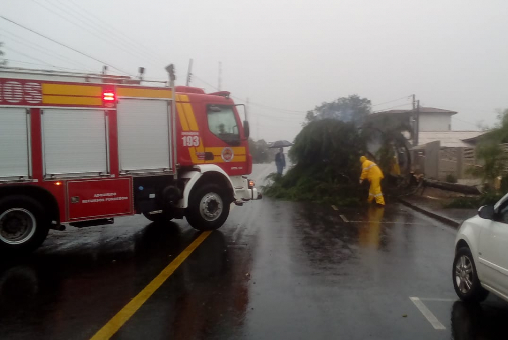 Chuva forte seguida de vendaval provoca prejuízos em Canoinhas - Defesa Civil SC/ Divulgação