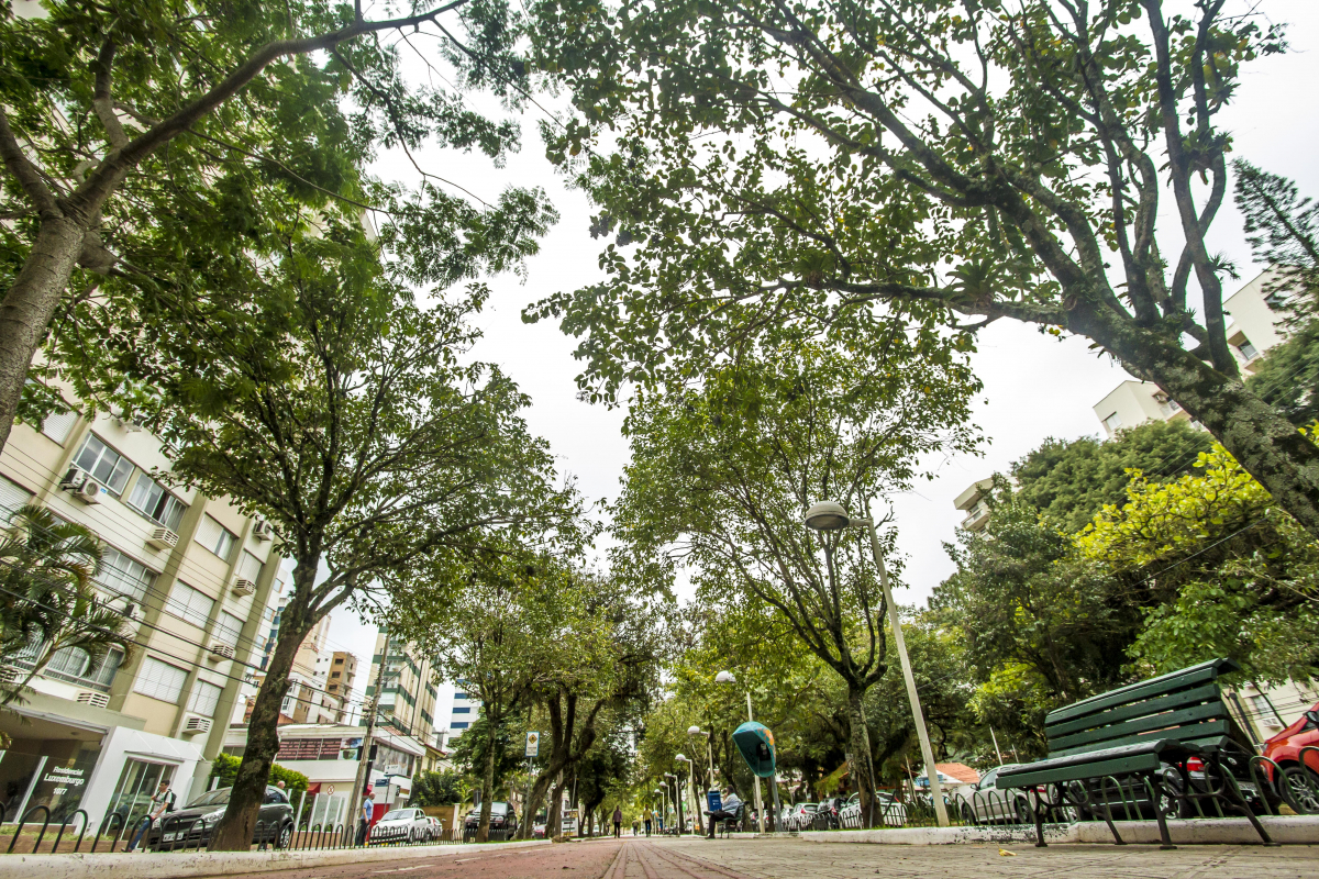 Canteiro central da Avenida Hercílio Luz,em Florianópolis, vai passar ...