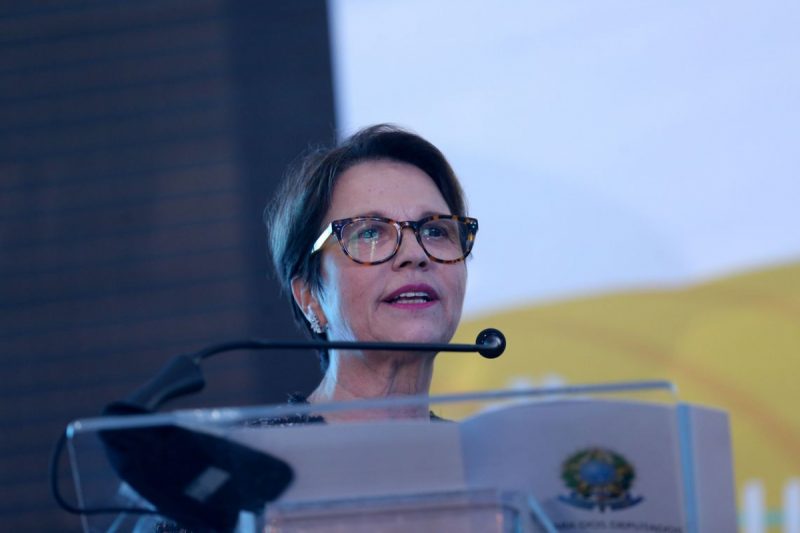 Ministra da Agricultura Tereza Cristina – Foto: Wilson Dias/Agência Brasil/Divulgação/ND