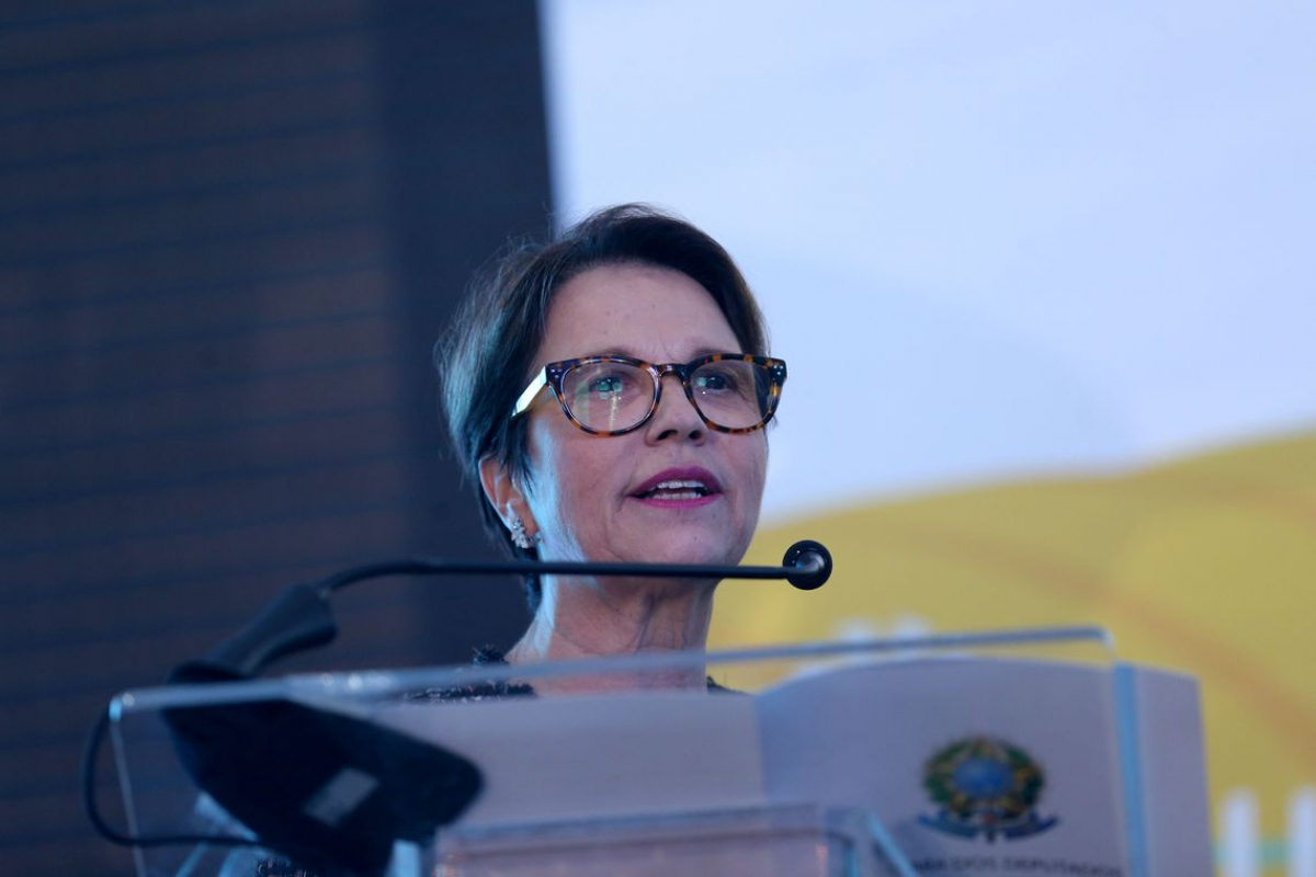 Ministra da Agricultura Tereza Cristina – Wilson Dias/Agência Brasil/Divulgação/ND