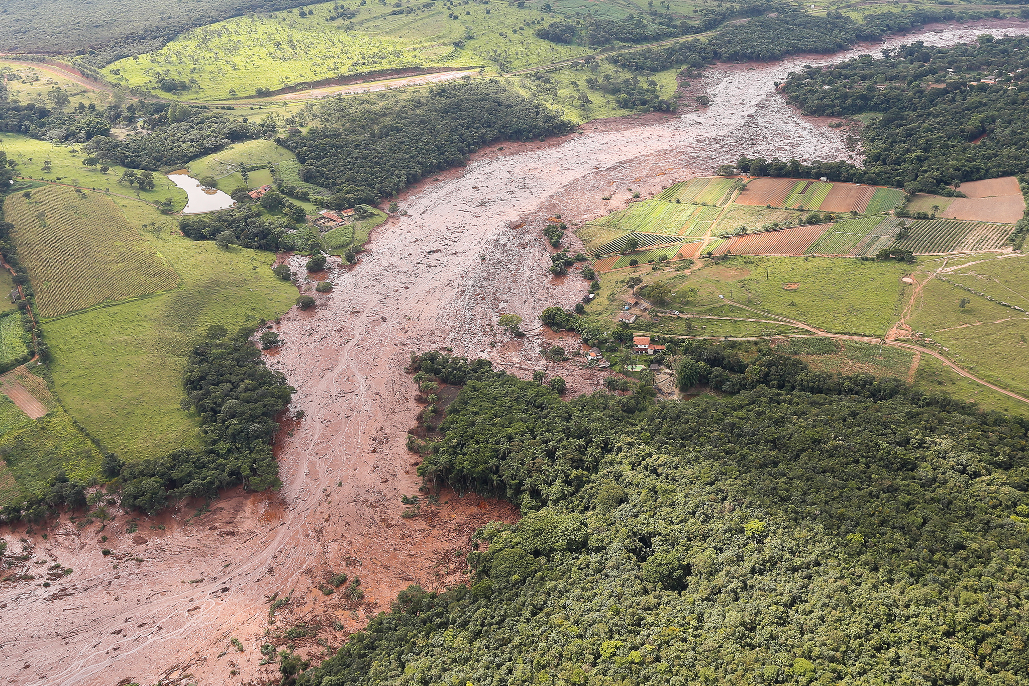 Após luto, parentes de mortos em Brumadinho enfrentam depressão