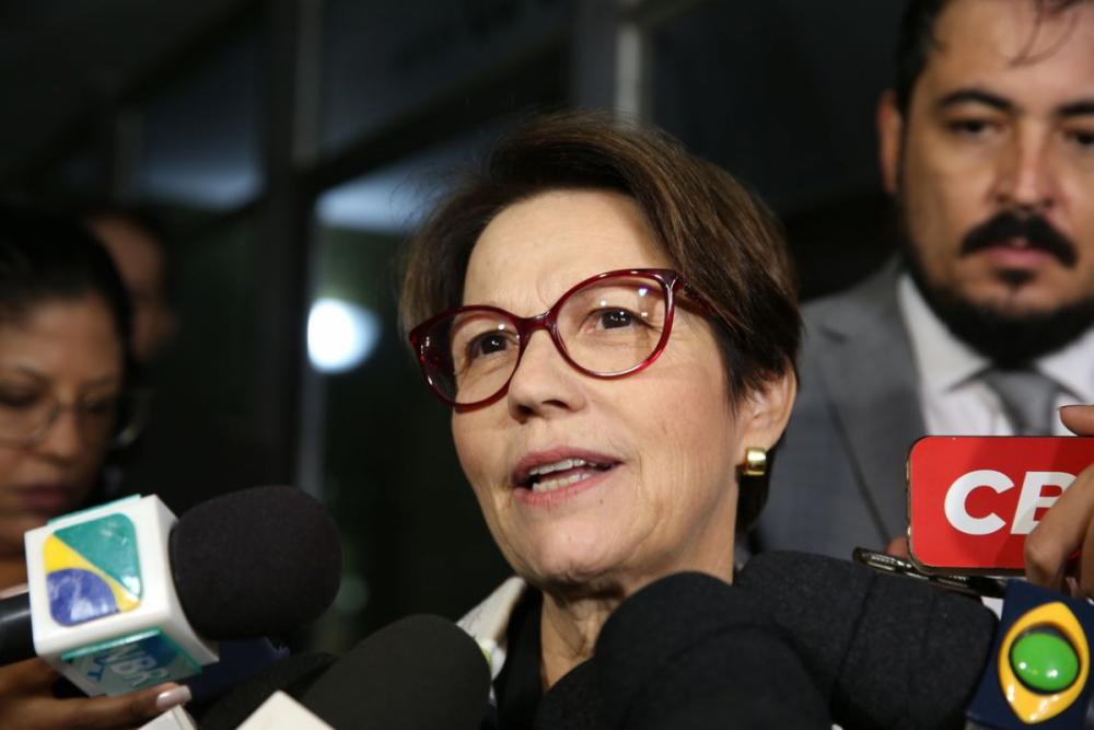 deputada Tereza Cristina (DEM-MS) - Antonio Cruz/ Agência Brasil