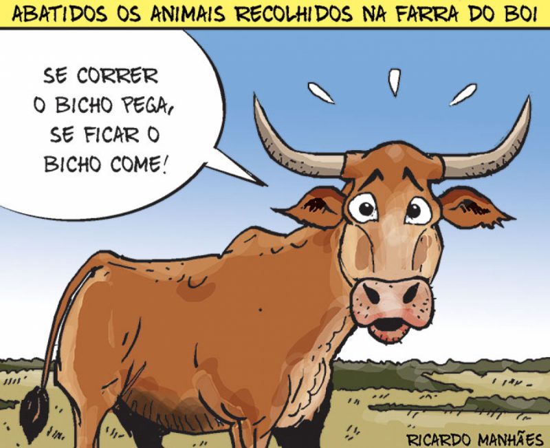 Animais Farra do Boi