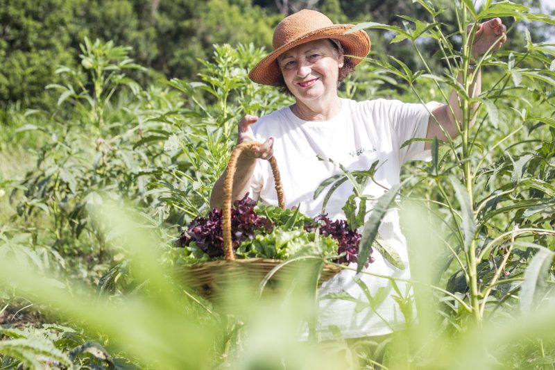 Moradora do bairro S&ocirc;nia Jendiroba que cultiva org&acirc;nicos em Ratones, Norte da Ilha – Foto: Arquivo/Marco Santiago/ND