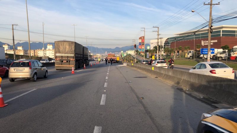 Atropelamento ocorreu no km 209,7 da BR-101, em São José – PRF/Divulgação/ND