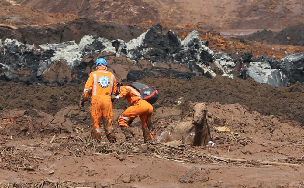 Voluntários tentam salvar uma vaca que está atolada na lama em Brumadinho - Wilton Junior/Estadão Conteúdo