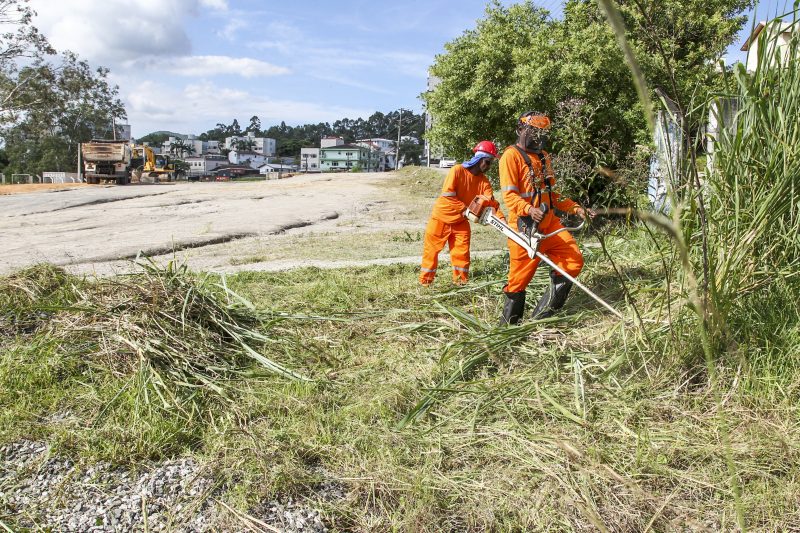 Obra recome&ccedil;a com limpeza do terreno que ficou tomado pelo mato – Marco Santiago/ND