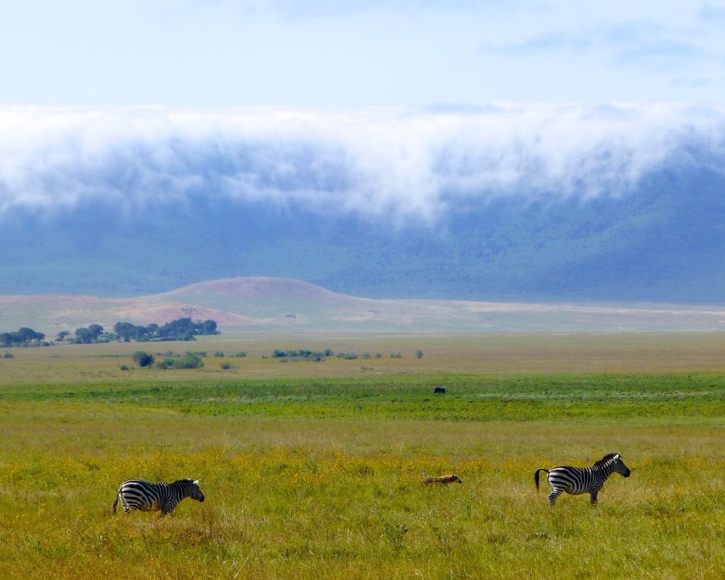 Parque Serengeti, Tanzânia - Pixabay - Pixabay/Rota de Férias/ND