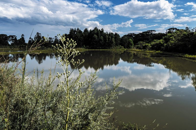 Lagoa resultante da recuperação ambiental da jazidas, em Canoinhas – Divulgação/Acervo Portobello