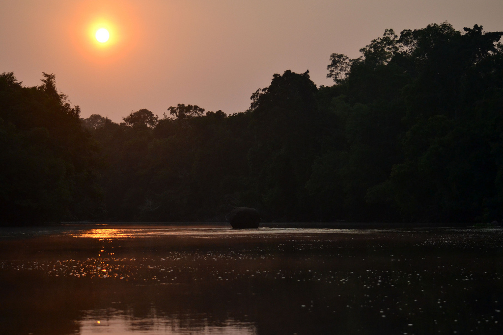 Floresta Amazônica - Luísa Mota on Visual hunt / CC BY-NC-SA - Luísa Mota on Visual hunt / CC BY-NC-SA/Rota de Férias/ND