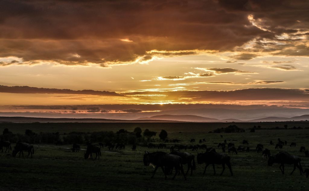 Masai Mara, Quênia - Pixabay - Pixabay/Rota de Férias/ND