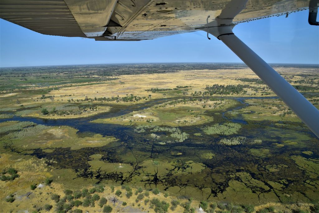 Delta do Okavango, Botsuana - Pixabay - Pixabay/Rota de Férias/ND