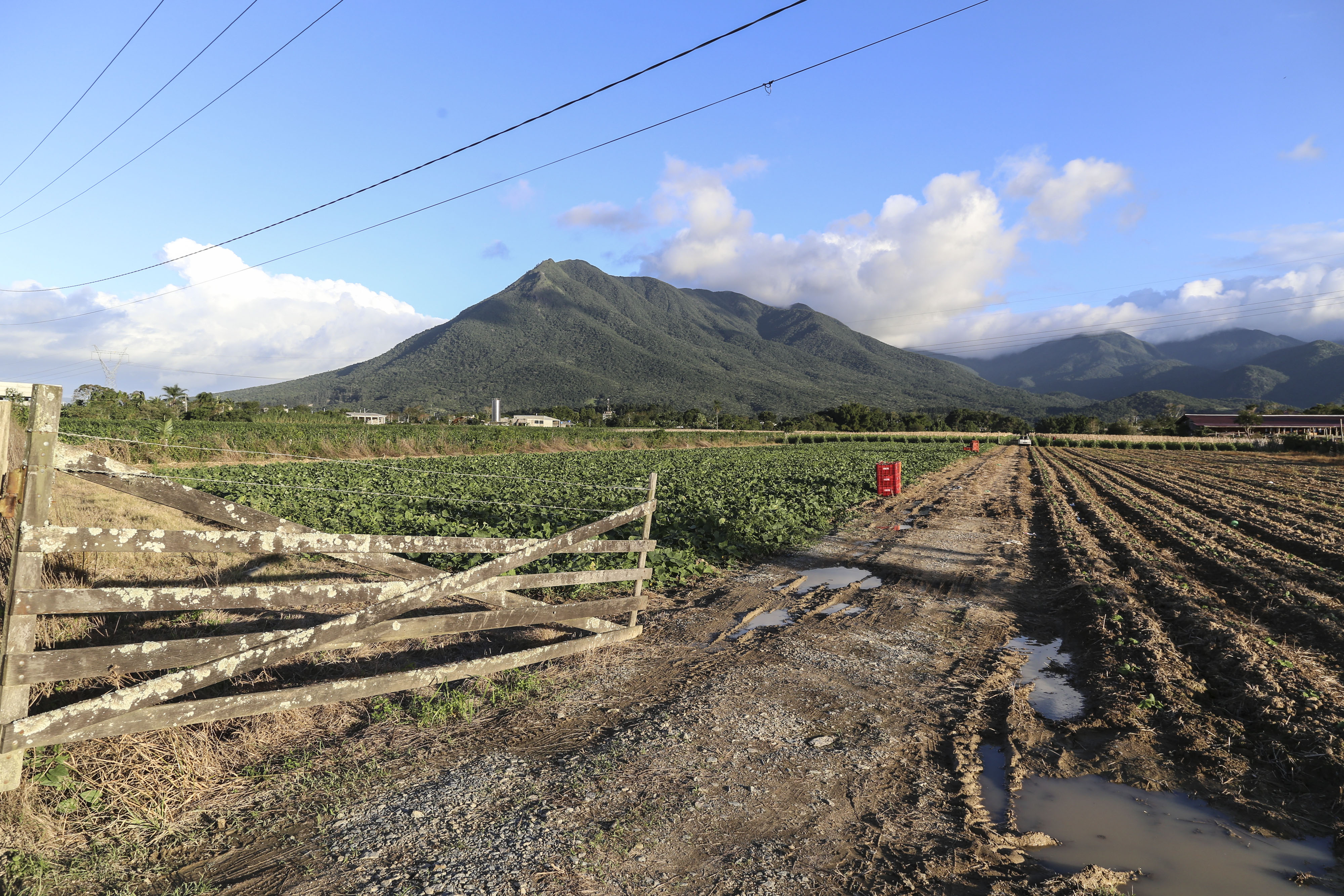 Alça de Contorno da BR-101: trecho de Palhoça está em discussão -  FloripAmanhã