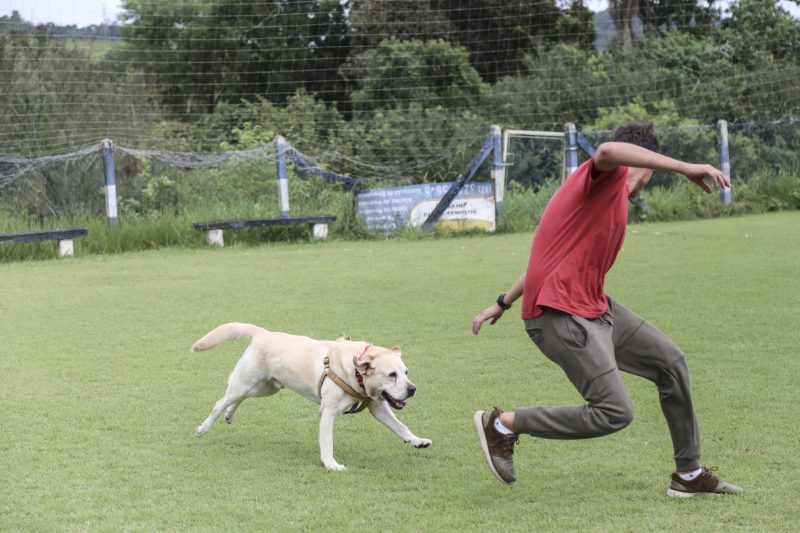 Ice brinca com o condutor Thiago Amorim durante o treino. Foto: Anderson Coelho/ND