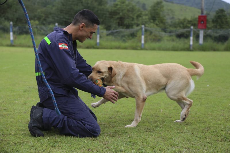 Soldado Valdeley e o labrador Marley est&atilde;o em treinamento.Foto: Anderson Coelho/ND