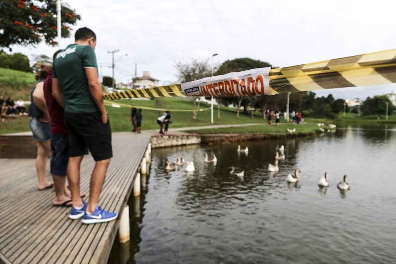 Suspeita de botulismo em lagoa no Pedra Branca, em Palho&ccedil;a – Anderson Coelho/ND