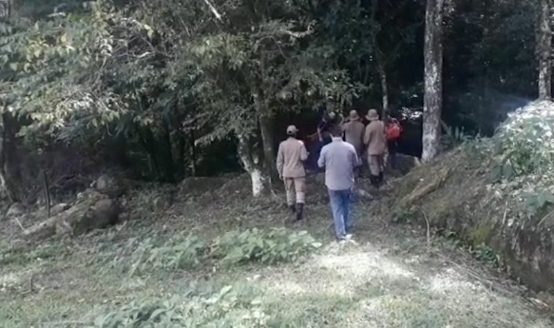 Equipes fazem buscas por Daniela nesta quarta-feira – RICTV/Reprodu&ccedil;&atilde;o