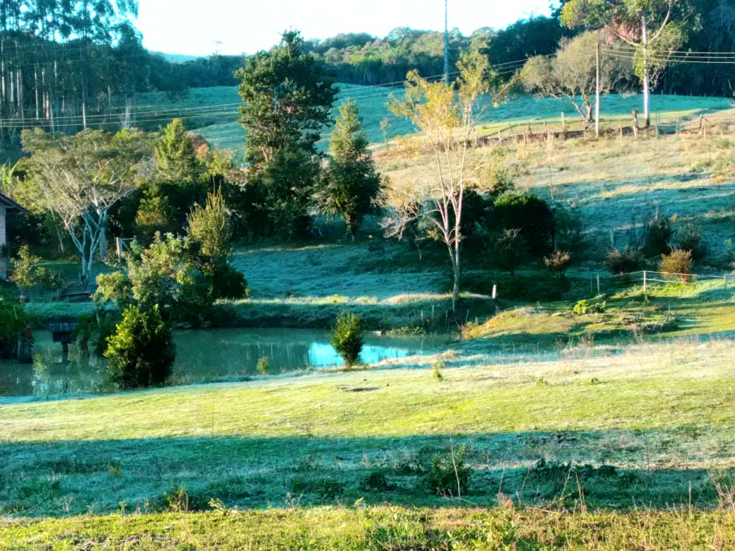 Frio em São Bento do Sul no sábado - Reprodução/RICTV