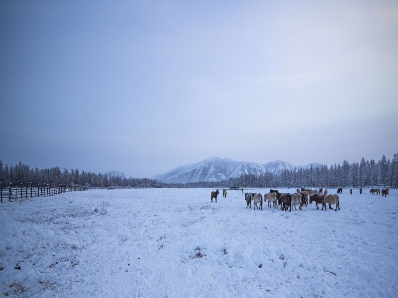 Uma das cidades habitadas mais frias do mundo, Oymyakon, na Rússia, já registrou temperatura de menos 67,7ºC, em 1993. O lugar é repleto de belezas naturais, como montanhas, vales e rios que não congelam - Alexander Tomsky via Visual Hunt / CC BY-NC-SA - Alexander Tomsky via Visual Hunt / CC BY-NC-SA/Rota de Férias/ND