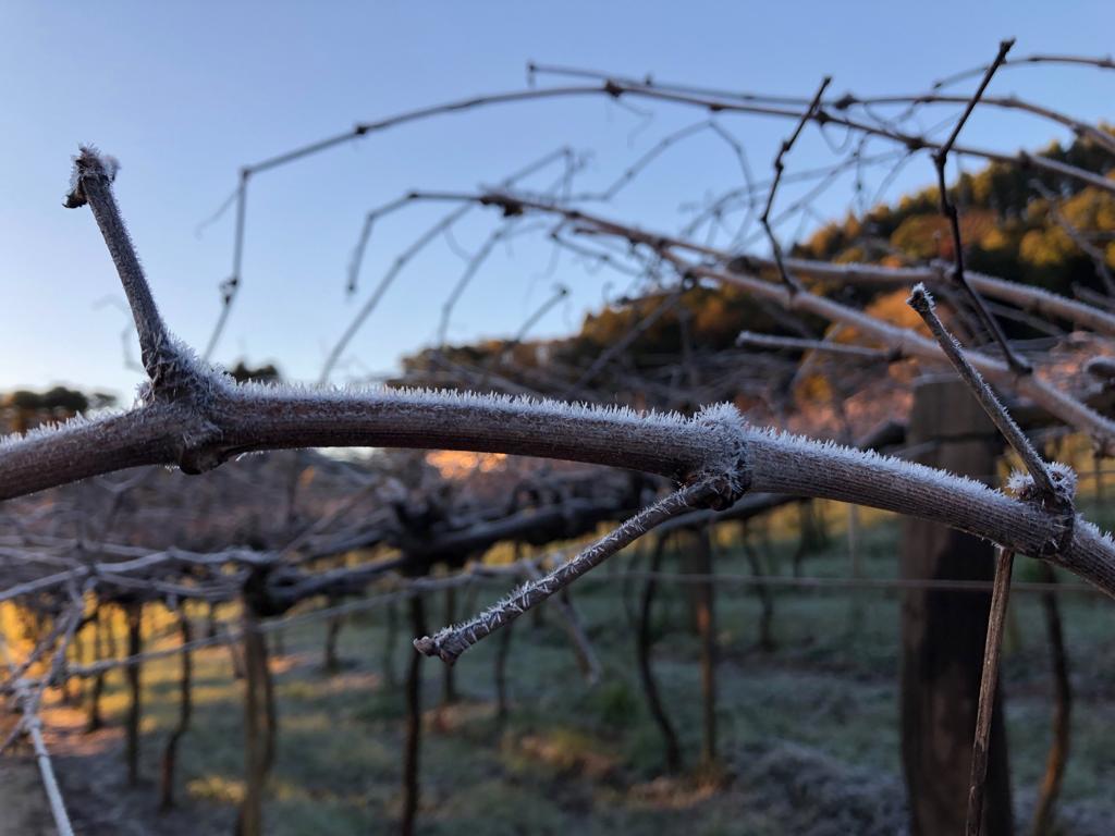 Tangará registrou baixas temperaturas no fim de semana - Reprodução/RI