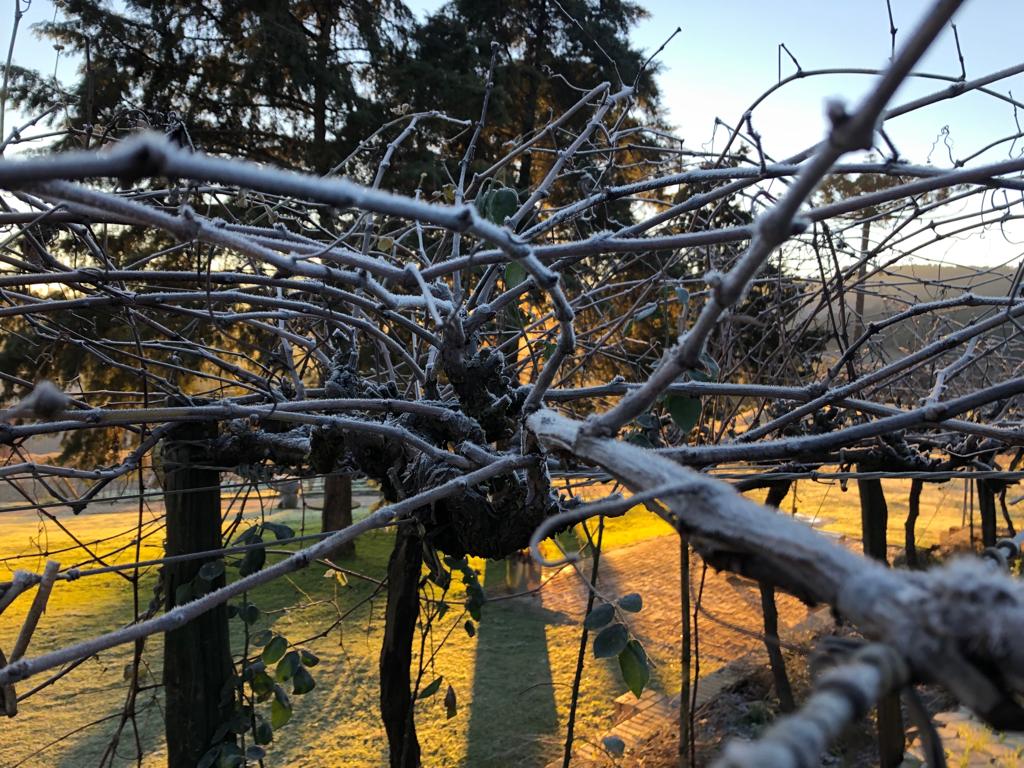 Tangará registrou baixas temperaturas no fim de semana - Reprodução/RICTV