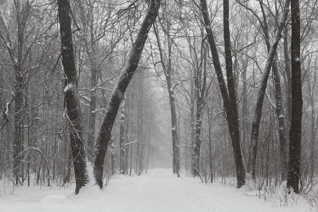 Verkhoyansk é uma região isolada da Sibéria e bem gelada. Em janeiro, a temperatura média é de menos 49 graus Celsius, e as temperaturas médias mensais ficam abaixo de 0 graus. Em 1892, os moradores passaram por um inverno com temperaturas abaixo de 67 graus Celsius - Pixabay - Pixabay /Rota de Férias/ND