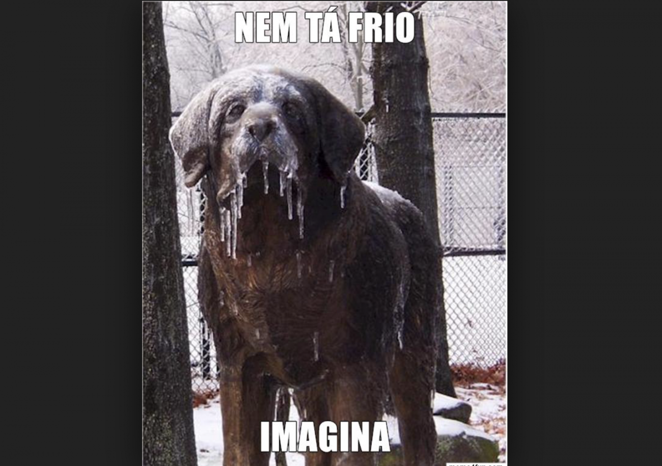 Onda de frio invade o Sul do Brasil com direito a memes na Internet - Reprodução Internet
