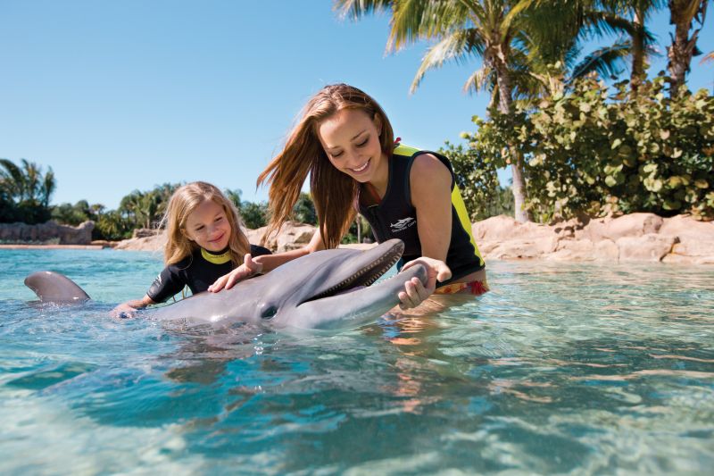 Irmão do SeaWorld e do Aquatica, o Discovery Cove recria belos cenários tropicais. A atração mais procurada é o nado com os golfinhos - Divulgação - Divulgação/Rota de Férias/ND