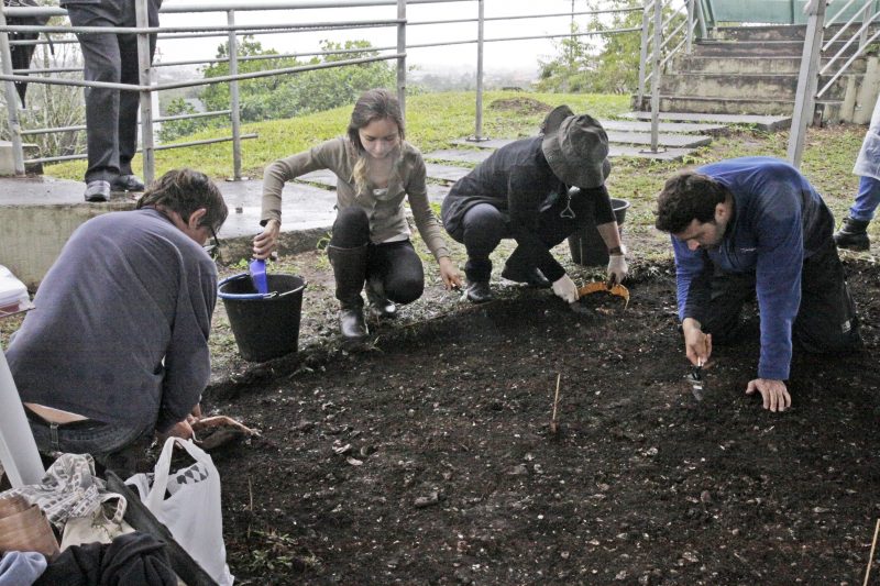 Pesquisa busca identificar se o sambaquianos também cultivavam e manejavam vegetais – Phelippe José/Secom/Prefeitura de Joinville