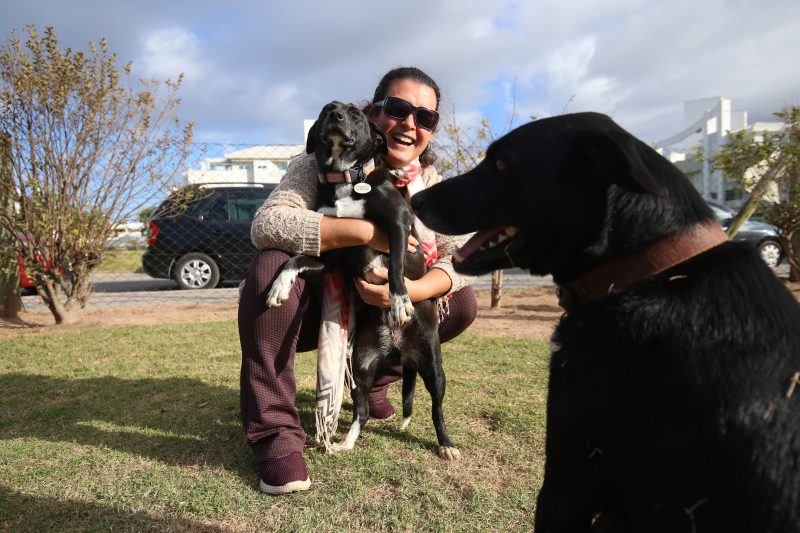 Adoção comunitária garante bem-estar de pets de rua